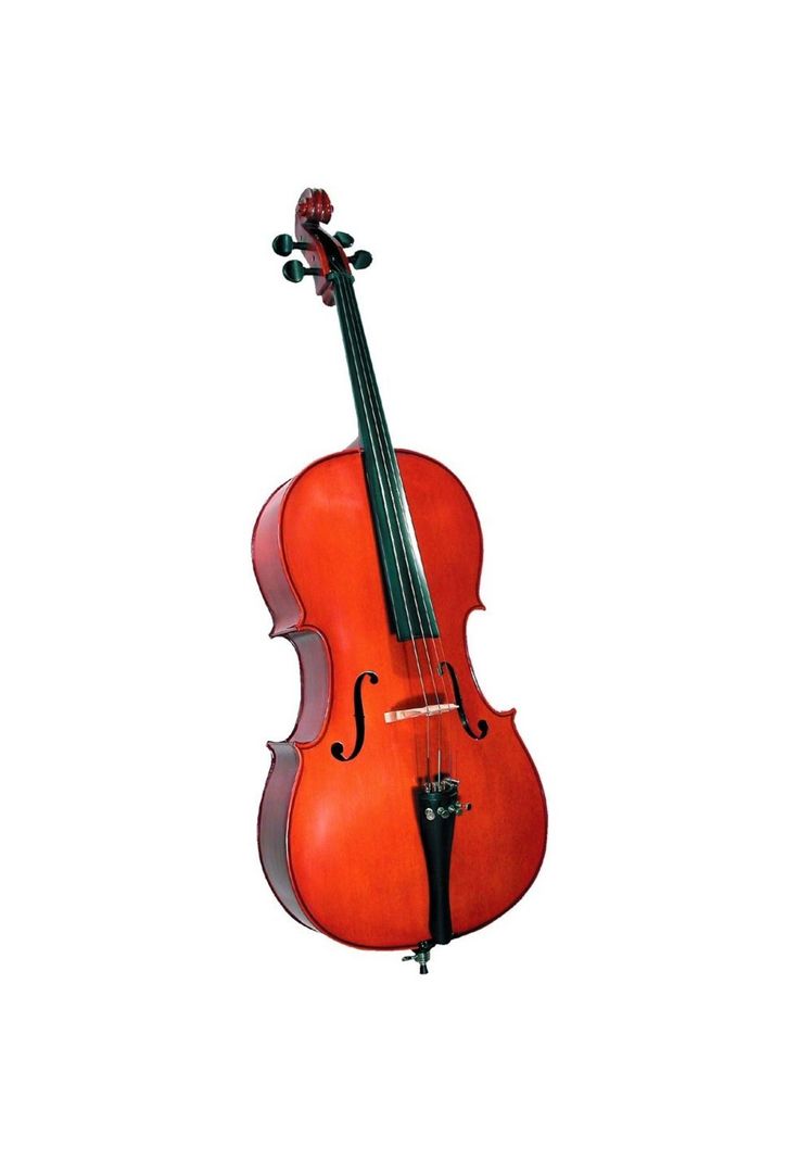 Violoncelo Cremona SC-100 3/4