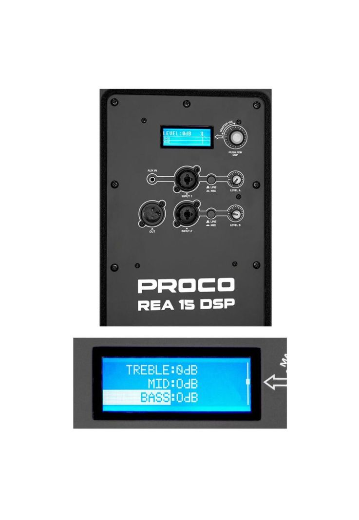 Caja Activa 15" Proco REA 15 DSP-3