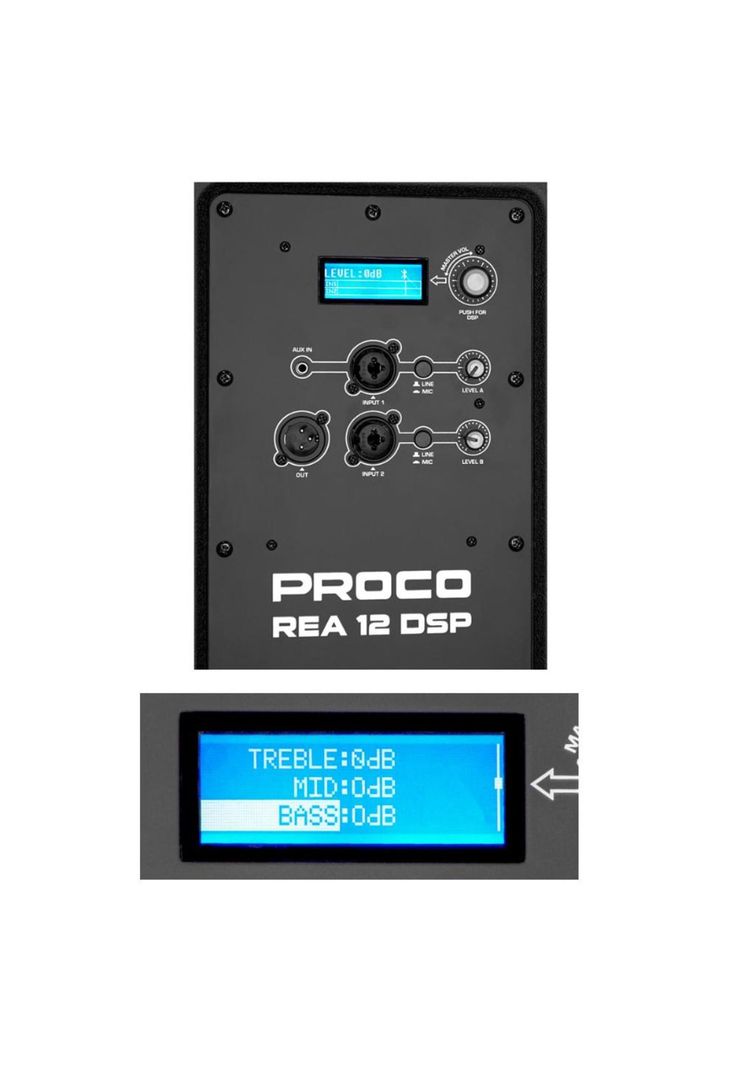 Caja Activa 12" Proco REA 12 DSP-3