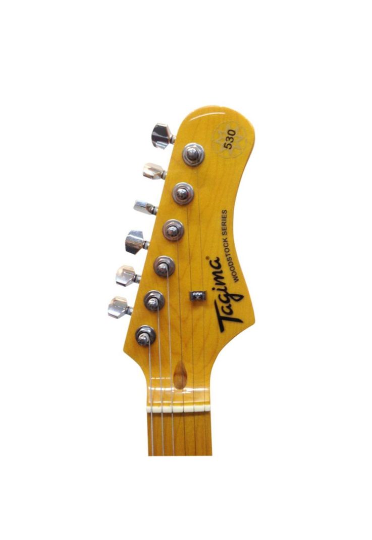 Guitarra Electrica Tagima TG-530 Black-2
