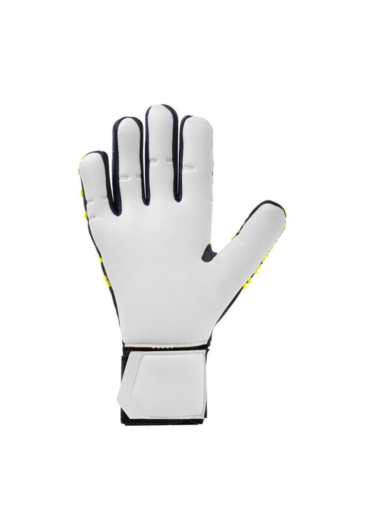 Prediction Absolutgrip HN Fit-1
