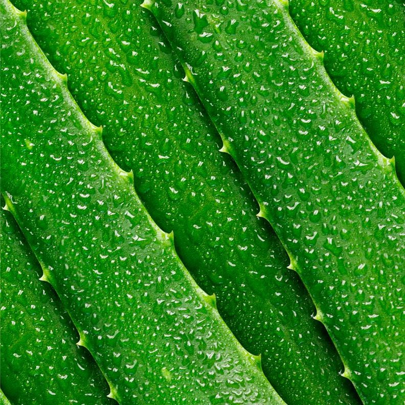 Tónico Facial de Aloe Vera-2