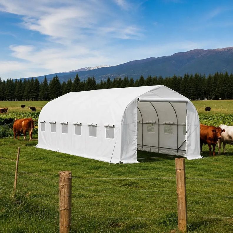 Invernadero Tunel 18 m2 6x3x2m Blanco Blanco/Blanco