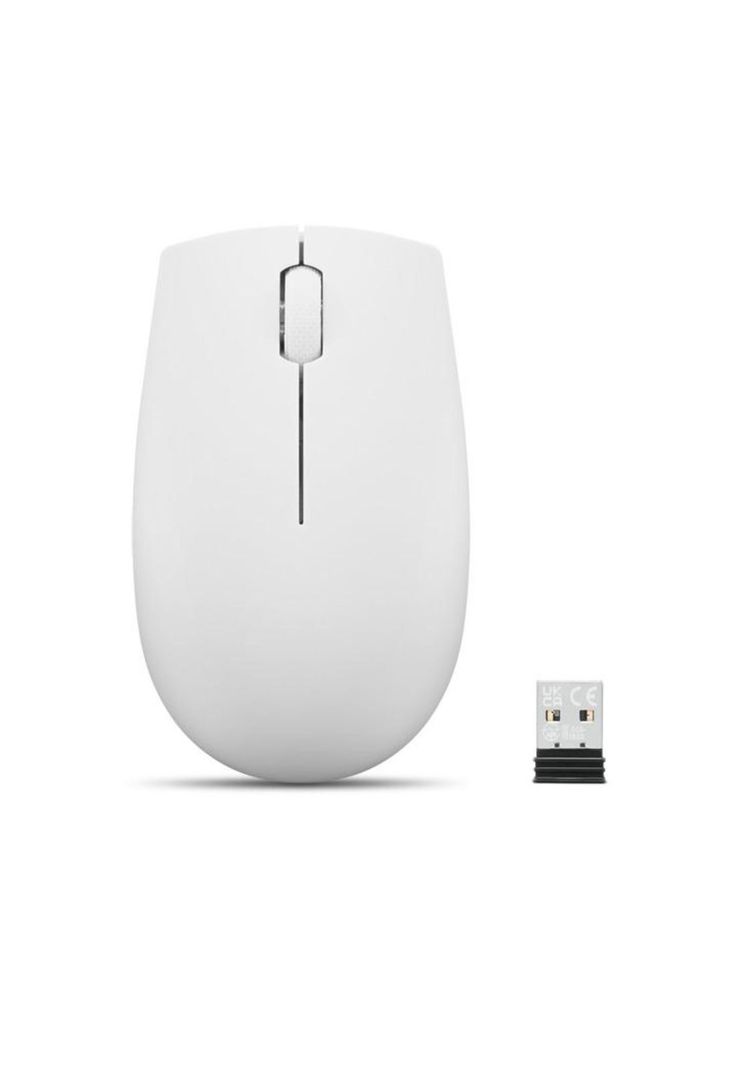 Mouse Lenovo 300 Wireless Compact - Cloud Grey-0