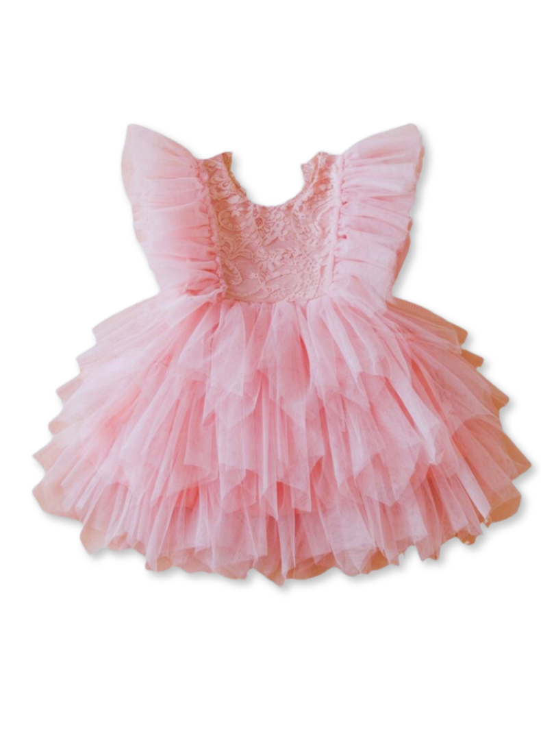 Vestido De Fiesta De Encaje Y Tul Niñas 6 meses a 4 años Princess Pink-0