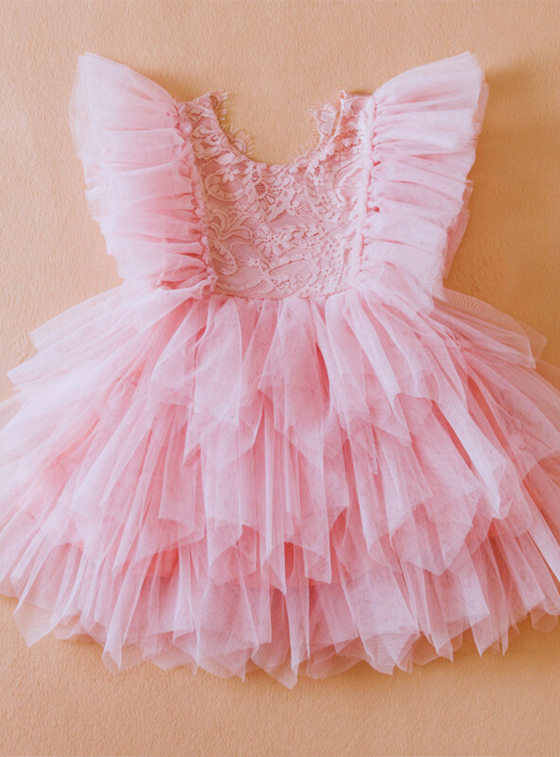 Vestido De Fiesta De Encaje Y Tul Niñas 6 meses a 4 años Princess Pink-1