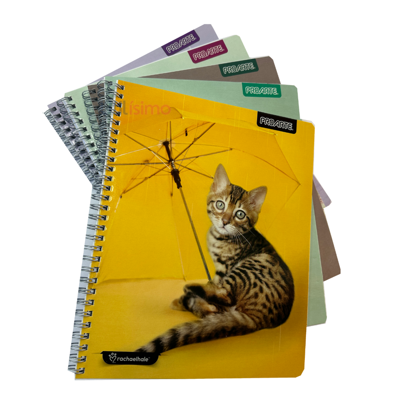 Pack 5 Cuadernos Adorable Matemática 7MM 100 hojas-0