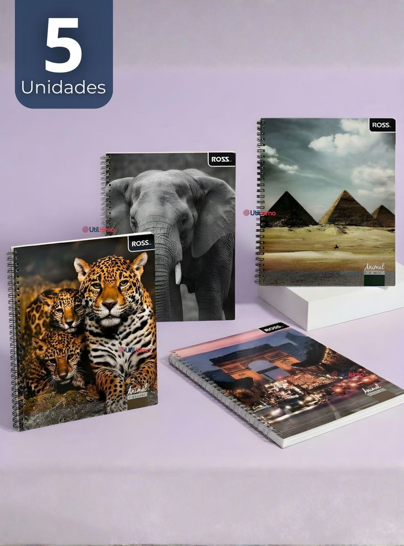 Pack 5 Cuadernos Universitario Animal & Places Ross 7mm 100 hojas Disenos Surtidos