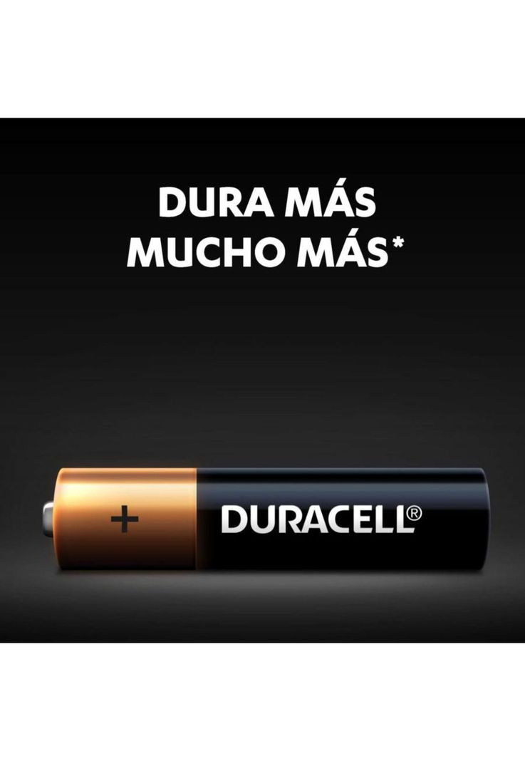 Pilas Alcalina Duracell Cb Aaa X6 Unidades-1