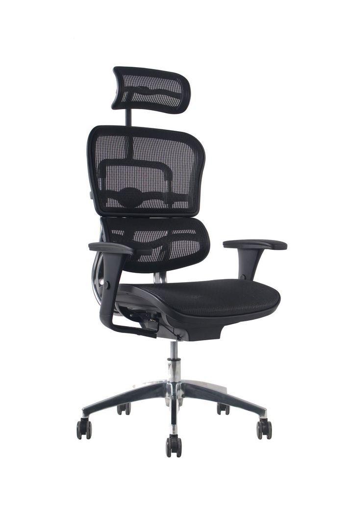 Silla ejecutiva escritorio Ergofit Malla