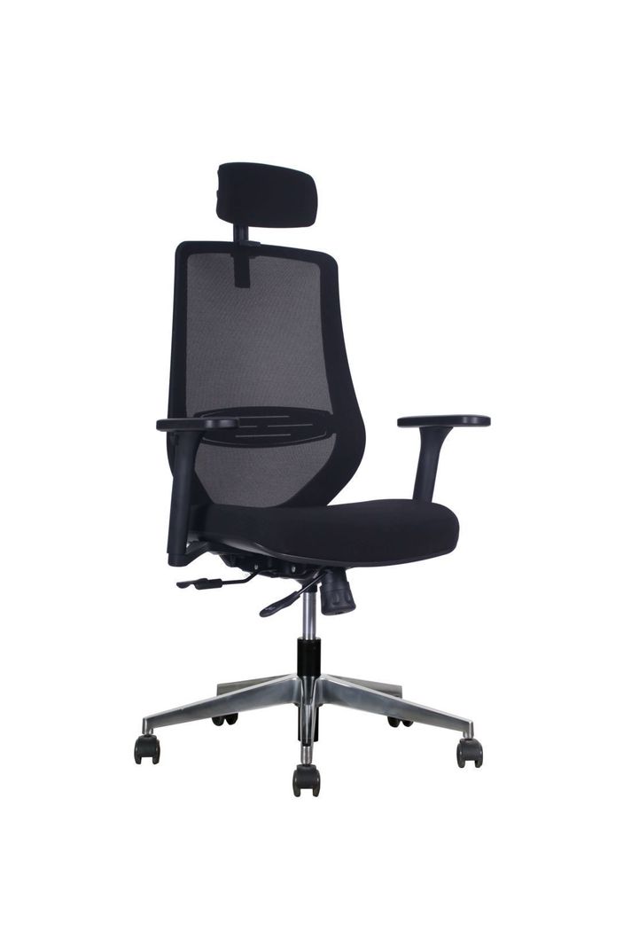 Silla ejecutiva escritorio Rhein-0