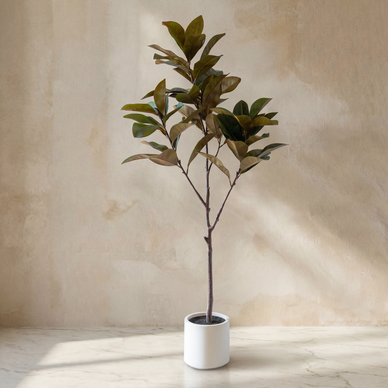 Planta Artificial Magnolia 160cm Real Touch con Maceta Tribus Home ...