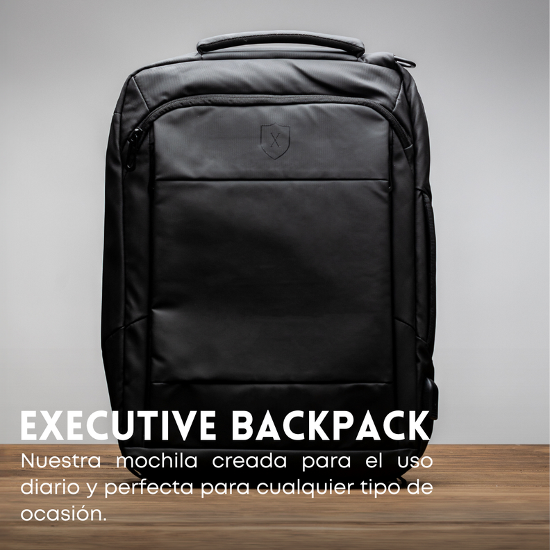 Mochila Ejecutiva de Uso Diario-2