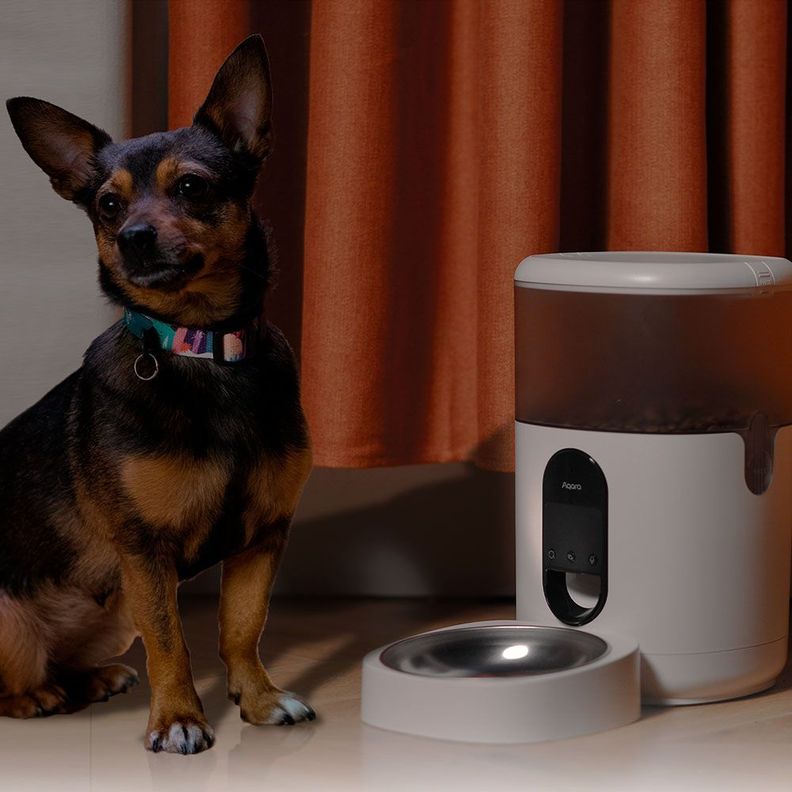 Alimentador de Mascotas Smart C1-4