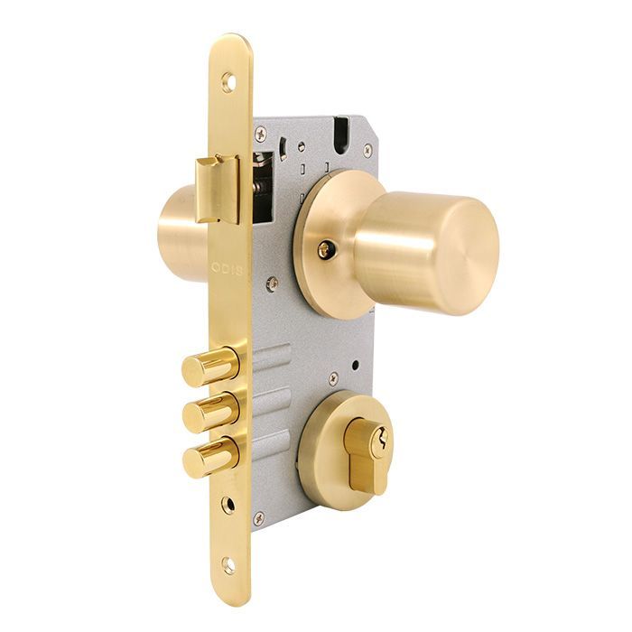 Cerradura Embutir Odis 205 Acceso - Bronce-0