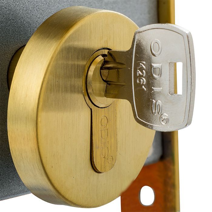 Cerradura Embutir Odis 205 Acceso - Bronce-6