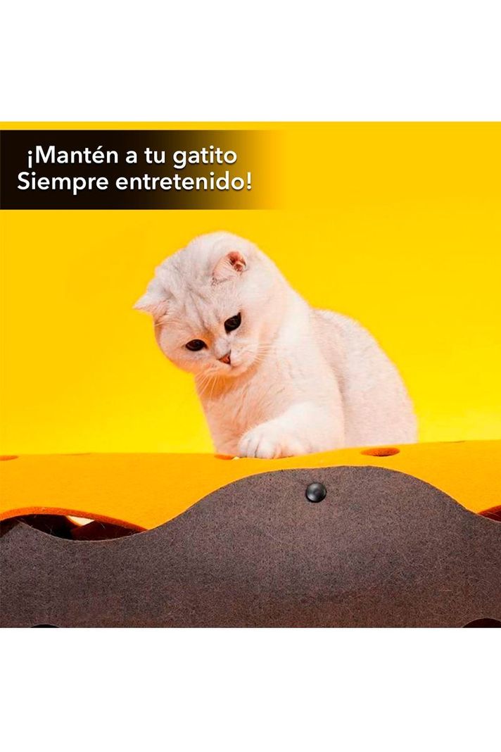 Tunel Fieltrro Plegable para Gatos Multicolor-1