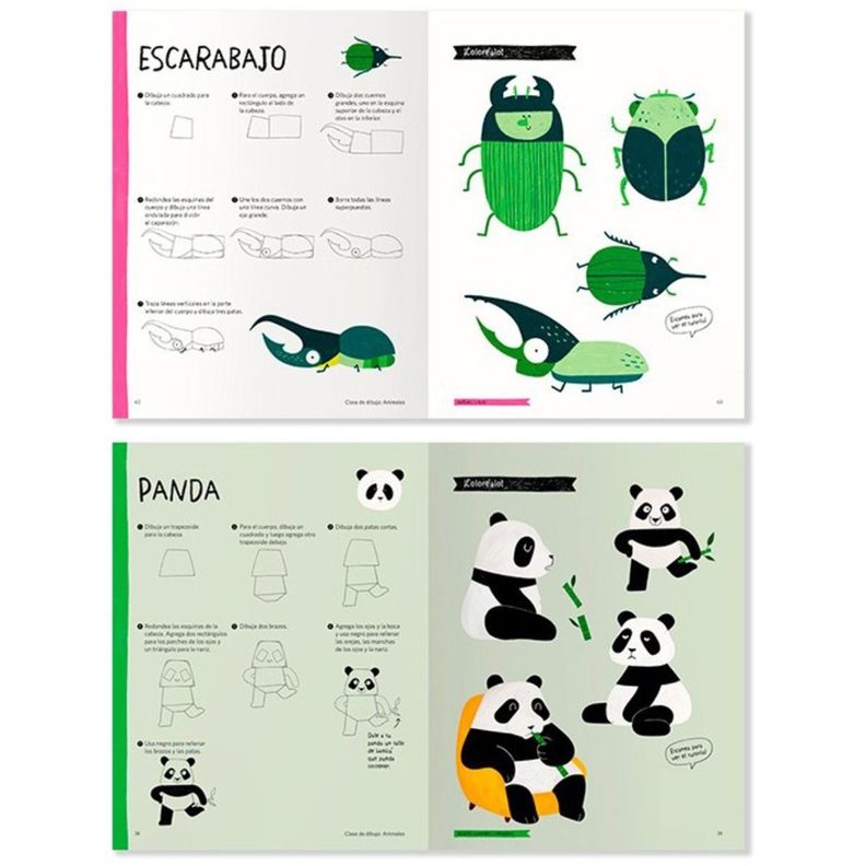 Libro Clase de Dibujo Animales Heegyum Kim-2