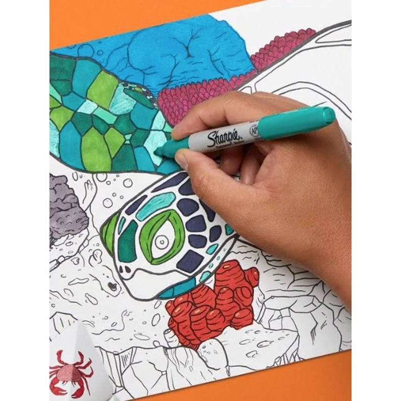 Marcadores Sharpie Permanente Pez Set 18 Colores-4