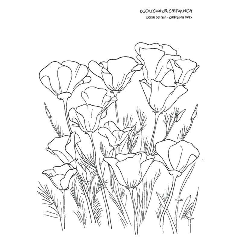 Libro Desierto en Flor Verónica Bazán-2