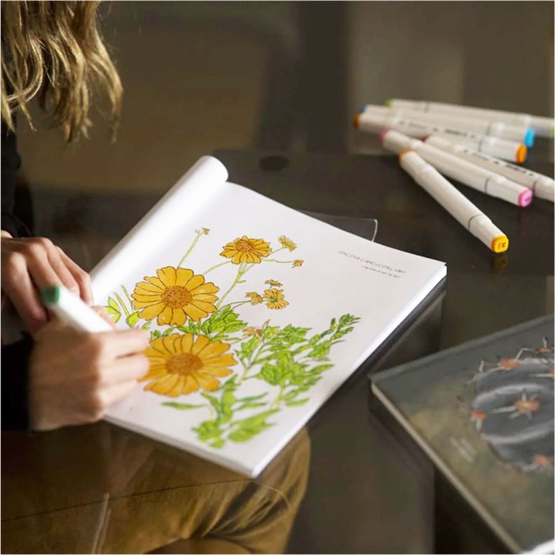 Libro Desierto en Flor Verónica Bazán-5
