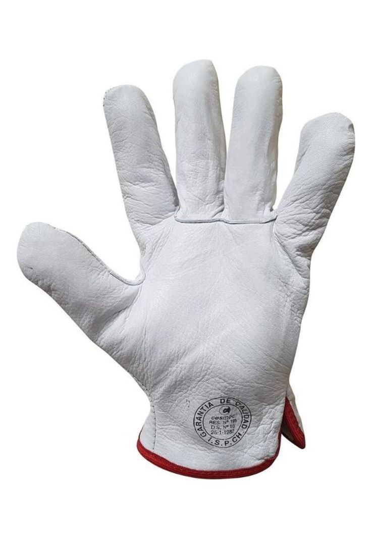 Guantes De Cabritilla S/forro (10 Pares)-1