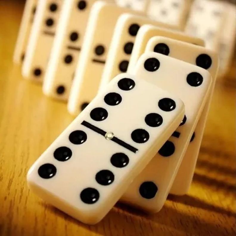 Domino Chancho 6 Juego de Mesa de 28 Piezas-4