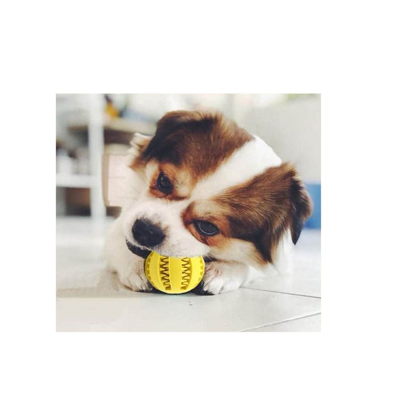 Pelota Para Mascota Juguete de Limpieza De Dientes -1