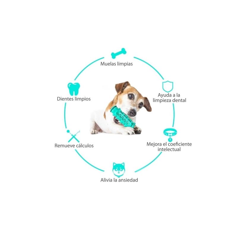 Juguete Hueso Limpieza de Dientes Para Perros-3