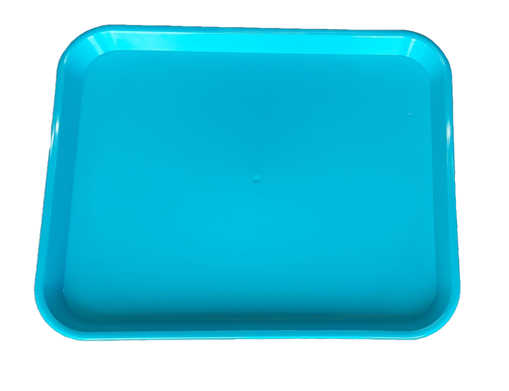 Pack X 10 Un Bandeja Autoservicio 44x35-2