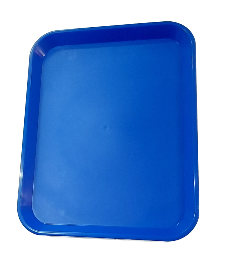 Pack X 10 Un Bandeja Autoservicio 44x35-3