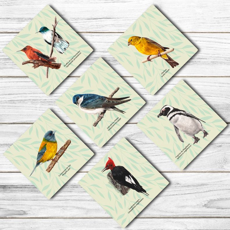 Set 6 Posavasos Aves de Chile-1