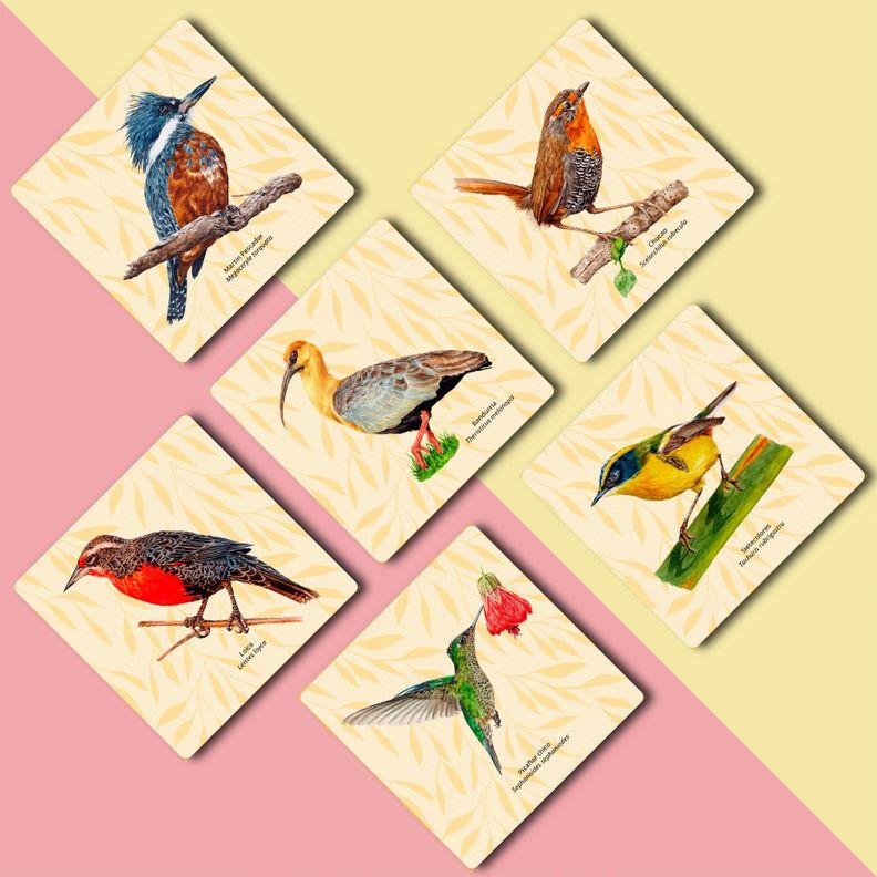 Set 6 Posavasos Aves de Chile-2