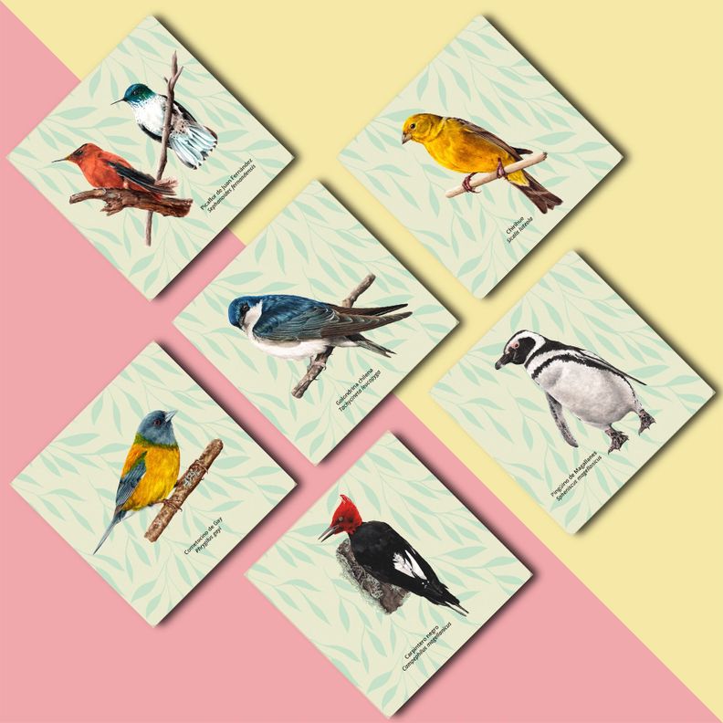 Set 6 Posavasos Aves de Chile-3