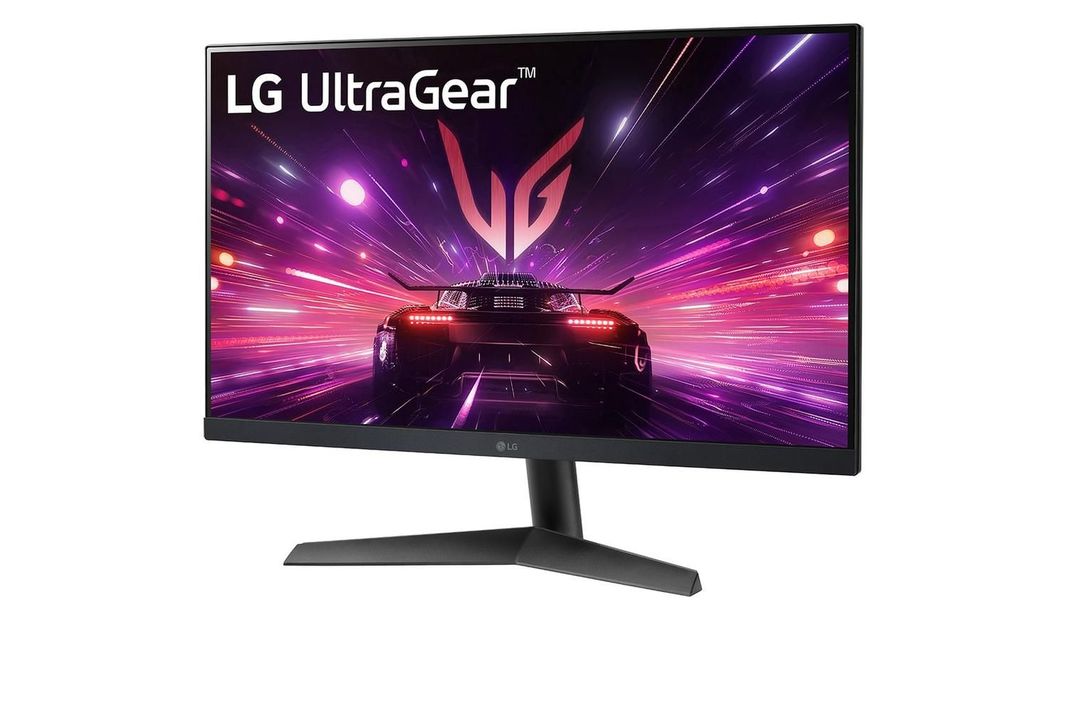 Monitor Gaming LG UltraGear 24GS60F-B Full HD 24"-1