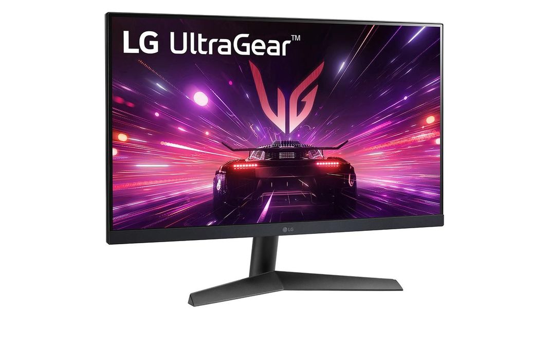 Monitor Gaming LG UltraGear 24GS60F-B Full HD 24"-2