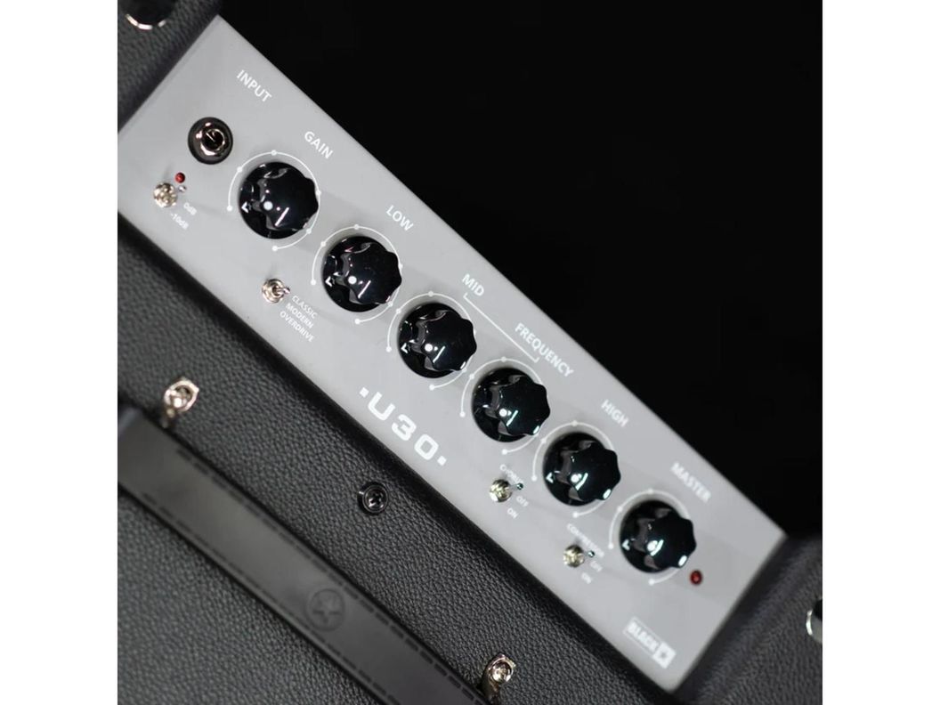 Amplificador para Bajo Unity 30 30 W-9