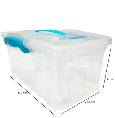 Caja Organizadora Almacenamiento Con Tapa Y Manilla 6 Lts-1