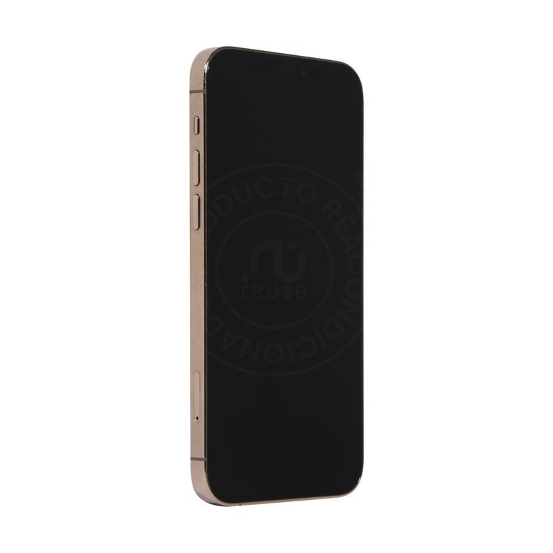 Apple Iphone 12 Pro Max 5G 256GB Oro Reacondicionado-1
