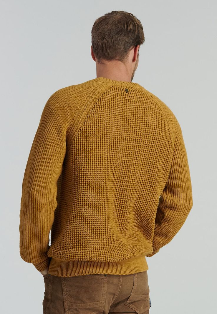 Sweater Austin Fjs Mustard-3