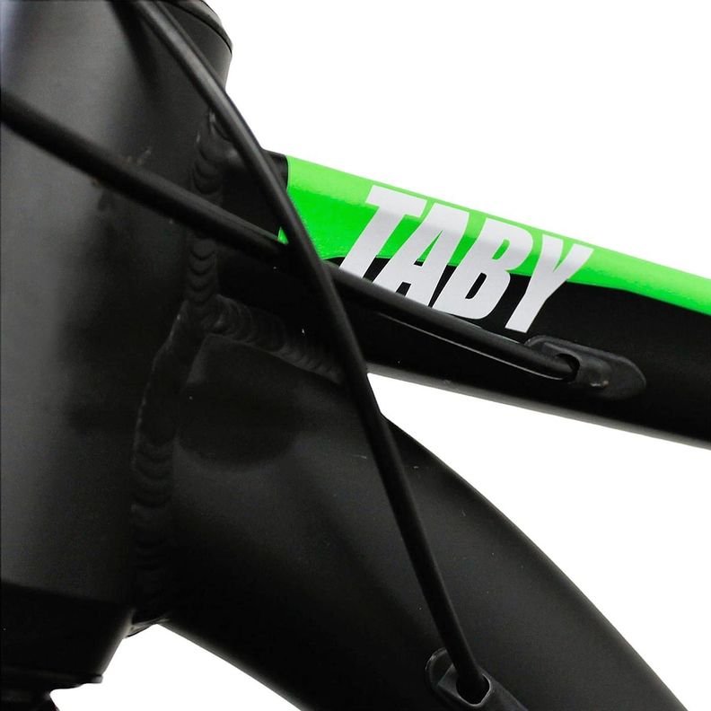BICICLETA MODELO TABY ARO 29"-2