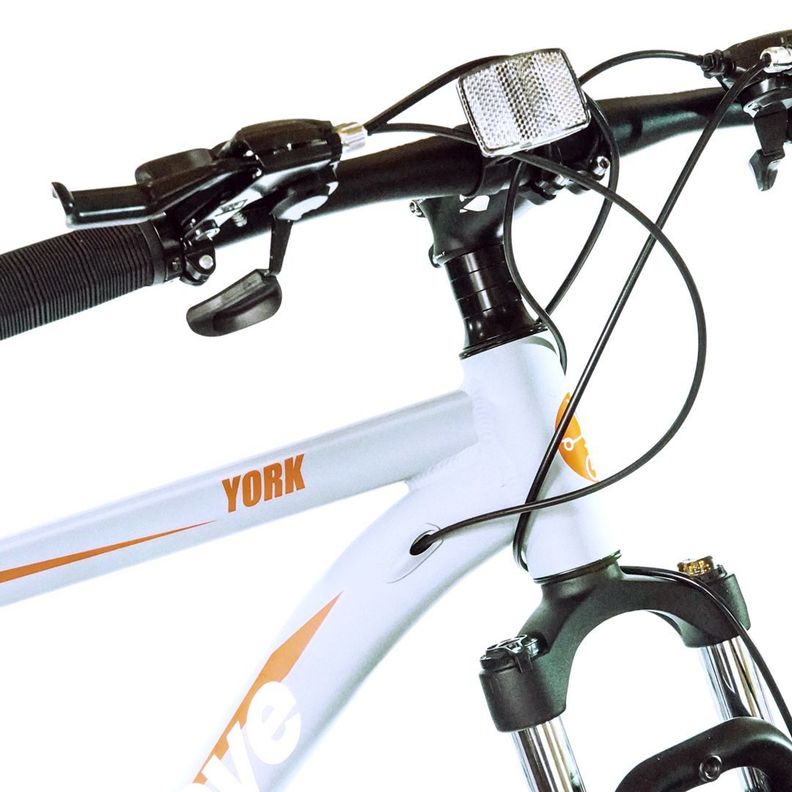 BICICLETA MODELO YORK ARO 29"-2