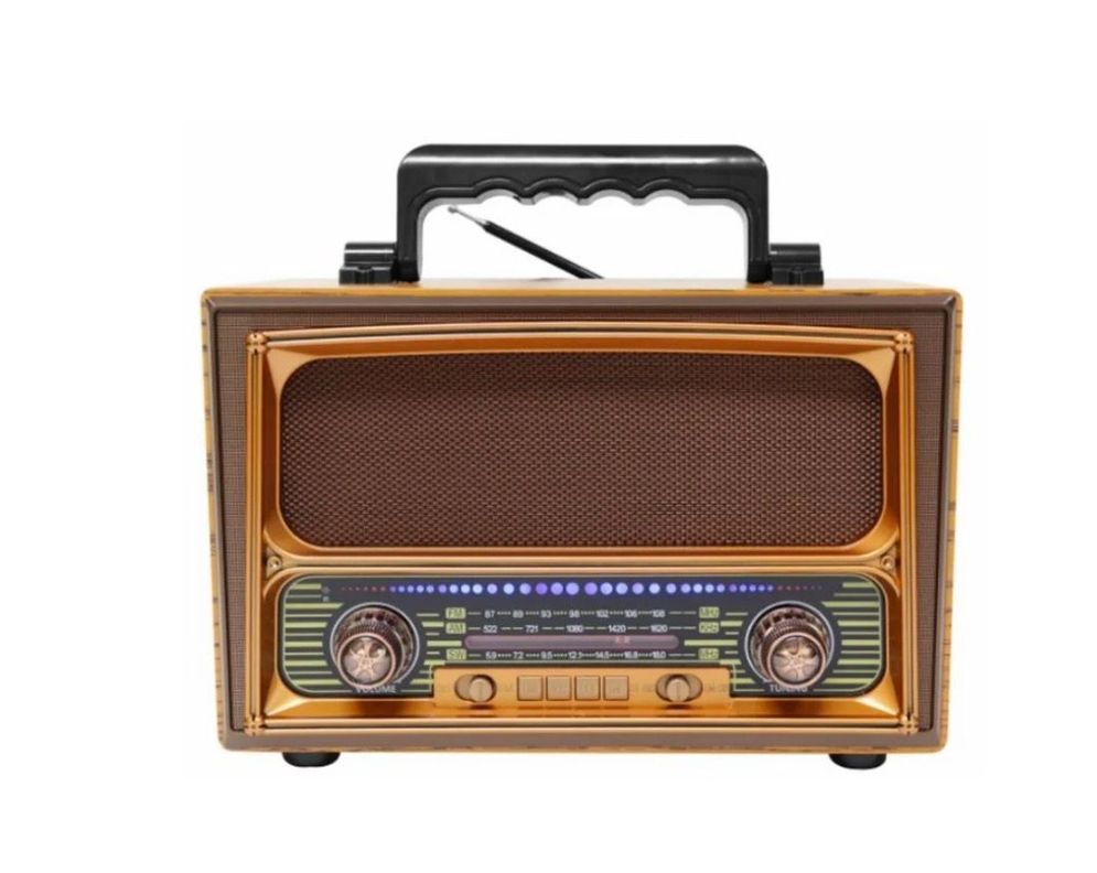 Parlante Radio An Fm Meier Usb-0
