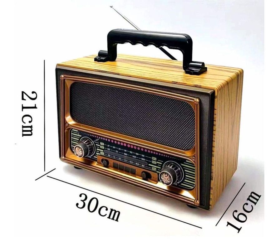Parlante Radio An Fm Meier Usb-3