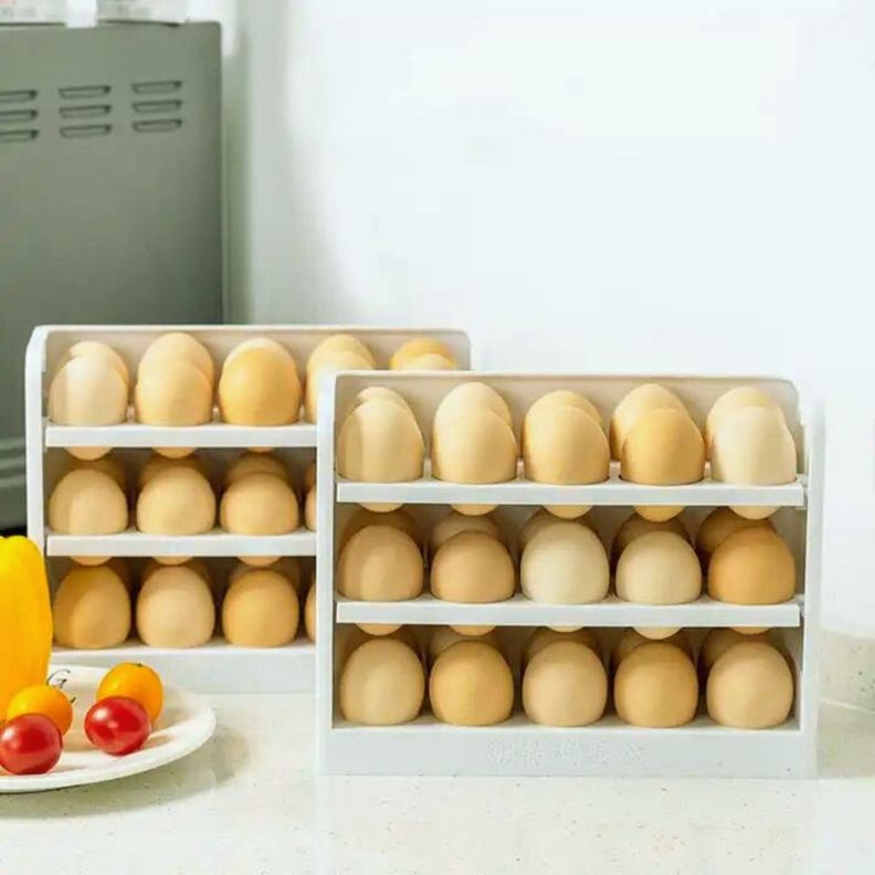 Organizador De 30 Huevos Caja Huevera Refrigerador - Norplat-7