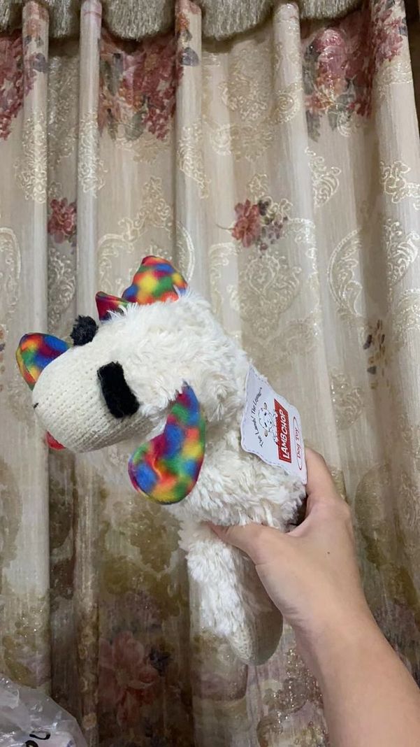 Peluche Oveja Con Texturas Y Sonido Para Mascotas Y Niños - Norplat-4