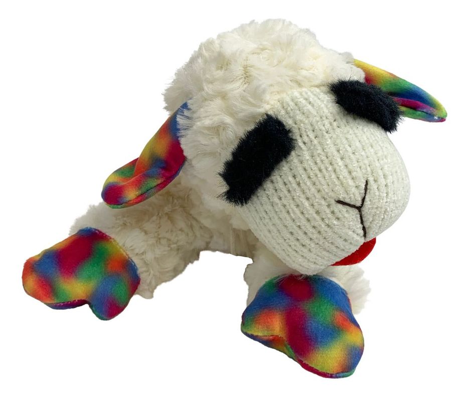 Peluche Oveja Con Texturas Y Sonido Para Mascotas Y Niños - Norplat-6