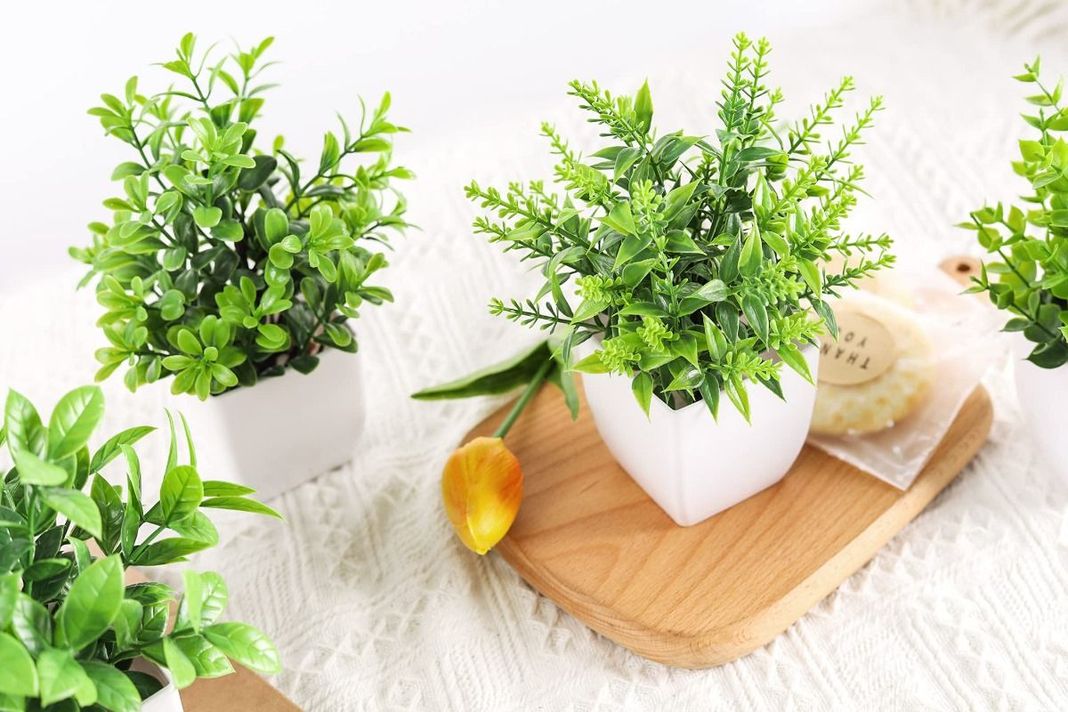 Norplat 4 Plantas Artificiales Decorativas Hogar Macetas-3