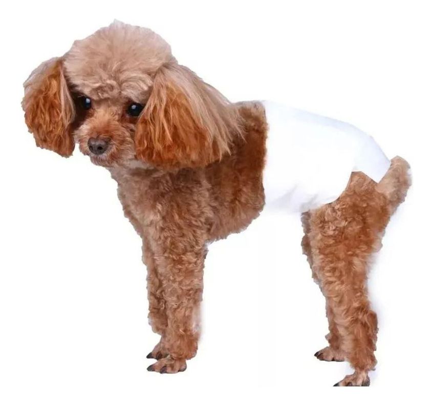 Pack 12 Unid Pañal Sanitario Desechables Mascotas Perra Gata - Norplat-5