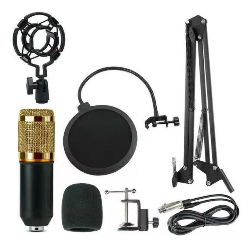 Kit Micrófono Estudio Condensador Profesional Bm800 + Brazo-0